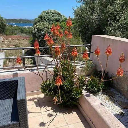 A Schiera Otel 4*